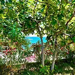 Perla & Palma Holiday home