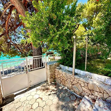 Perla & Palma Zaboric