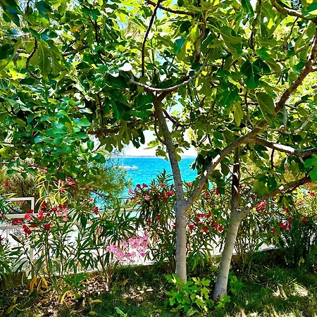 Perla & Palma Holiday home
