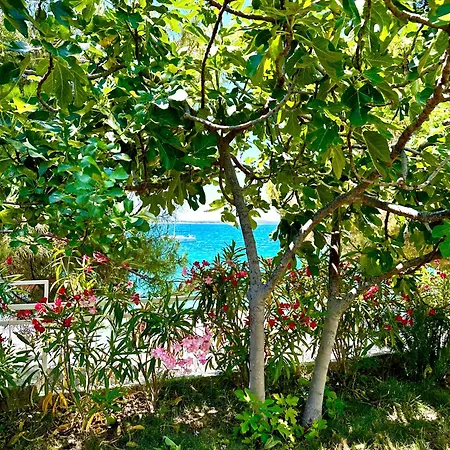 Perla & Palma Holiday home