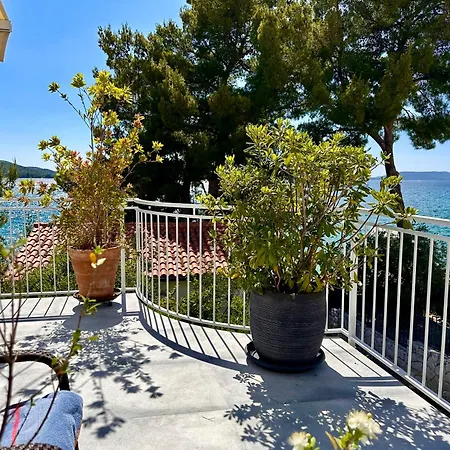 Perla & Palma Zaboric