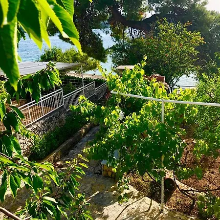 Perla & Palma Zaboric