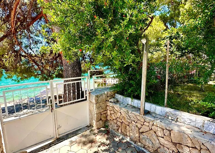 Perla & Palma ז'אבוריץ'