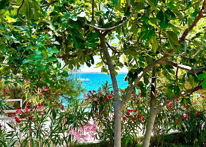 Perla & Palma بيت للعطل