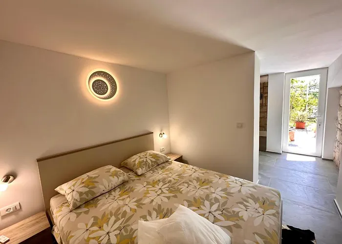 Perla & Palma * زابوريتش