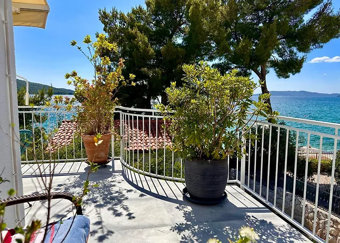 Perla & Palma زابوريتش