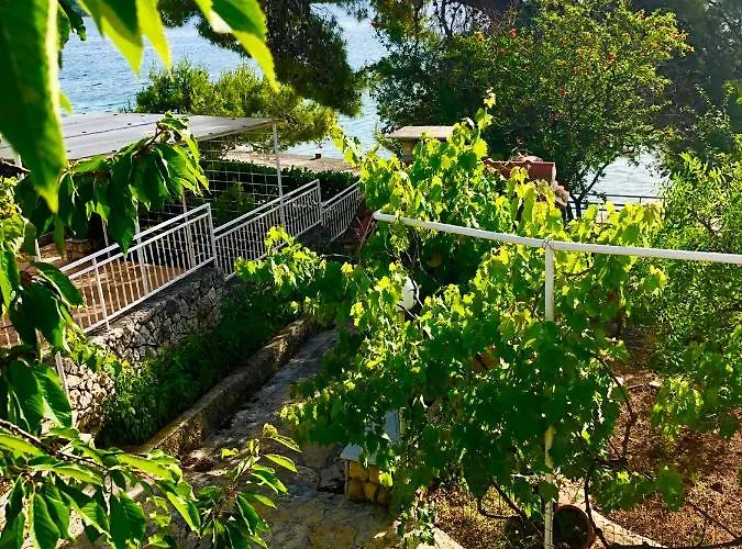 Perla & Palma ז'אבוריץ'